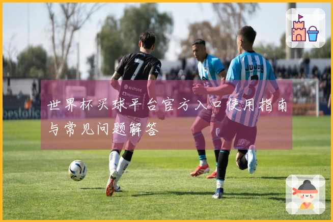 世界杯买球平台官方入口使用指南与常见问题解答