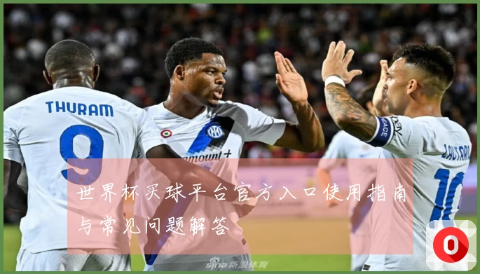 世界杯买球平台官方入口使用指南与常见问题解答